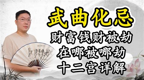 武曲化忌化解